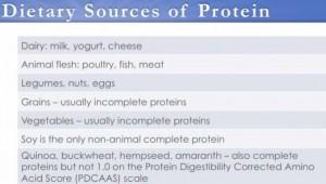 dietary_sources_of_protein