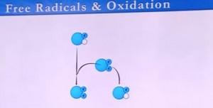 free_radicals_oxidation