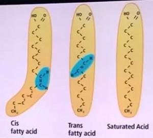 trans_fatty_acid